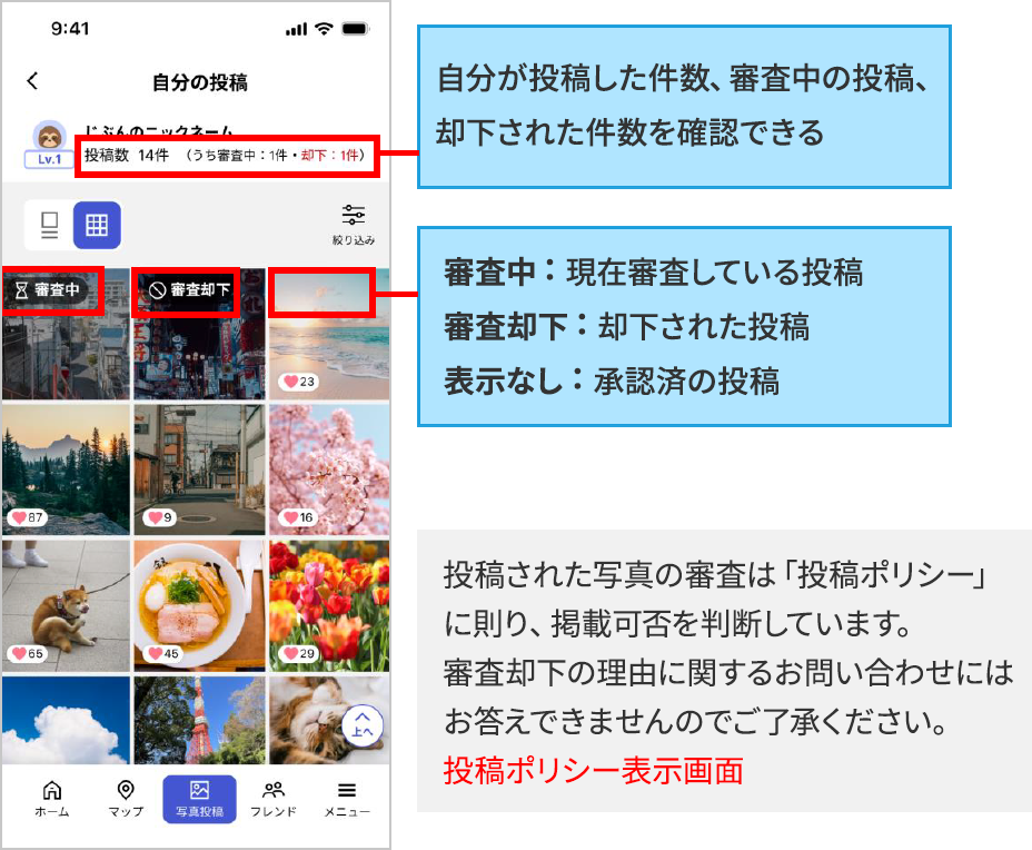 自分が投稿した写真を見る
